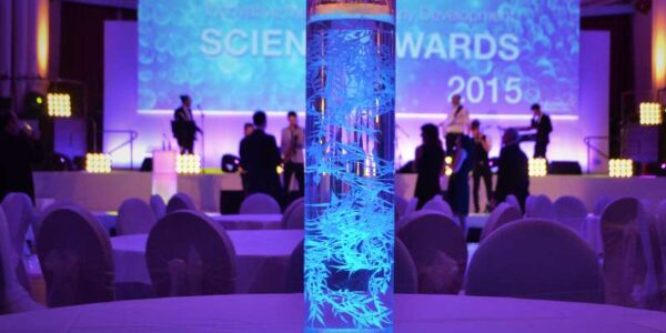 Leaf tube centrepieces for corporate events.