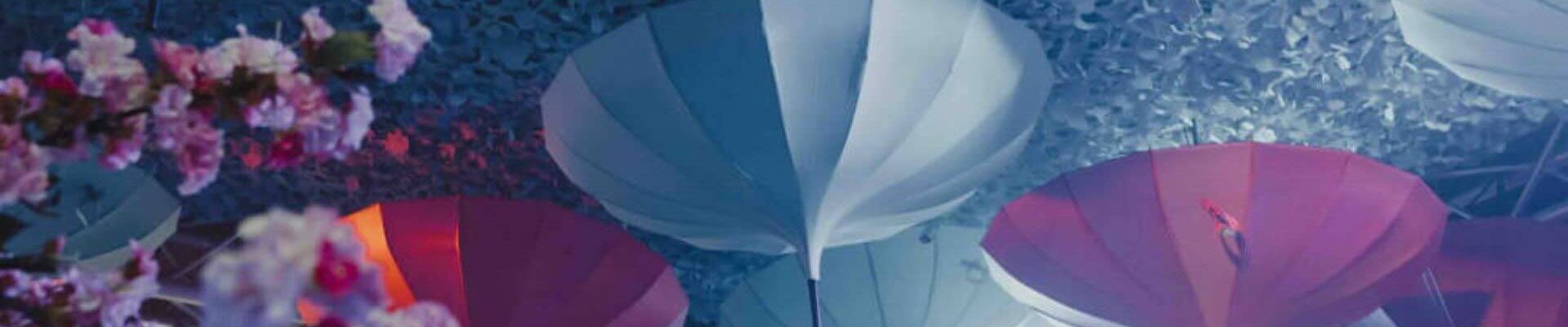 Creative-Event-Ceiling-Design