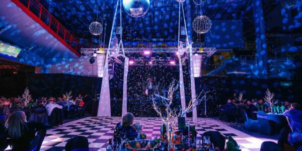Aerial-Duo-Act-Company-Events