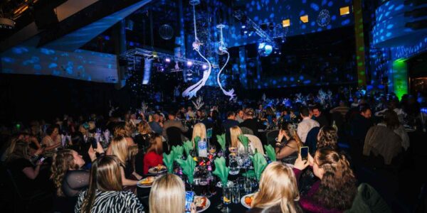 Aerial-Duo-Act-Luxury-Parties