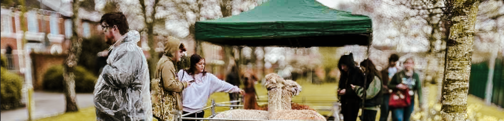 Animal-Zones-Family-Fun-Days