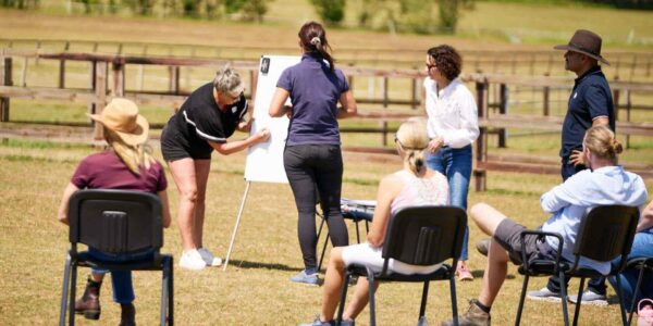 Horse-corporate-leadership-workshop-culture-and-performance