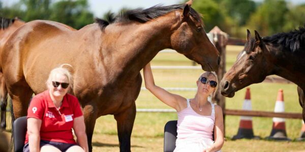 Horse-corporate-leadership-workshop-executive-away-days