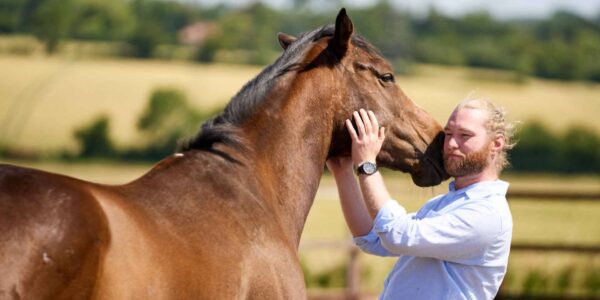 Horse-corporate-leadership-workshop-offsites