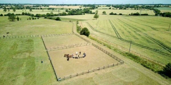 Horse-corporate-leadership-workshop-outdoor-retreats