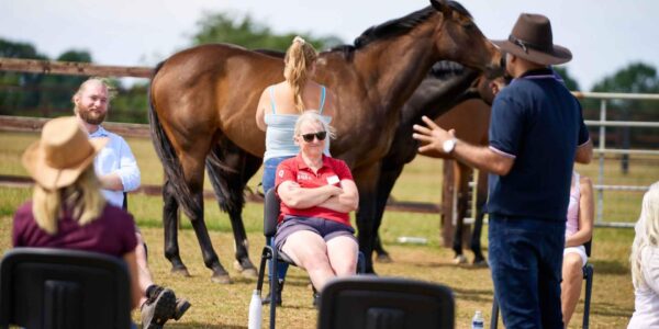 Horse-corporate-leadership-workshop-retreats