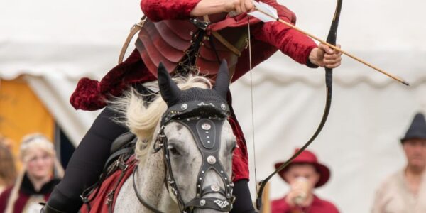 Hire-Wild-West-Arena-Show