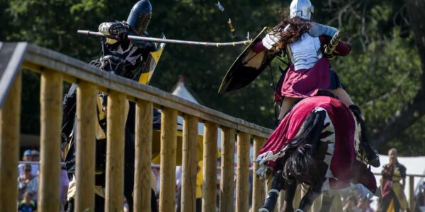 Horse-Stunt-Arena-Entertainment.jpg