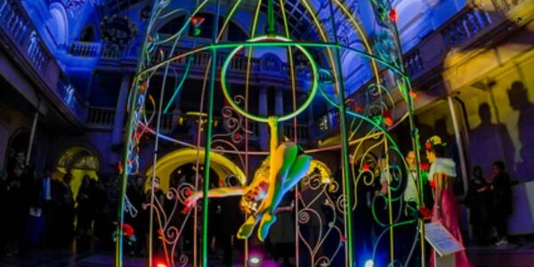 Birdcage-Aerial-Artist-Circus-Themed