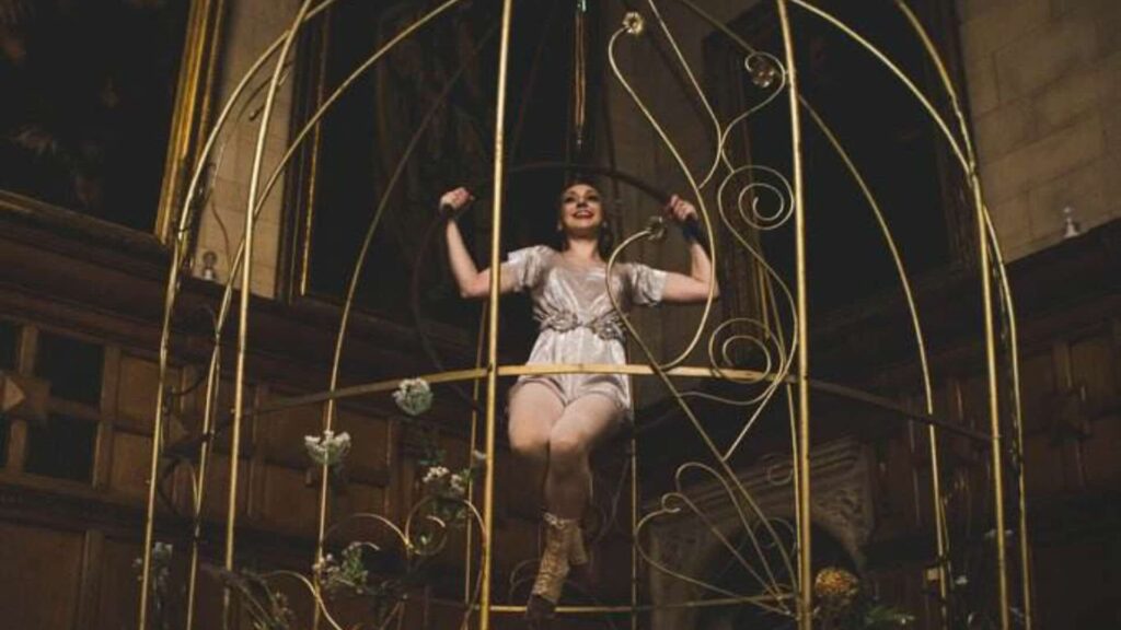 An birdcage aerial artist performing at a gala dinner.