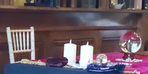 Event-Tarot-Reader-For-Hire