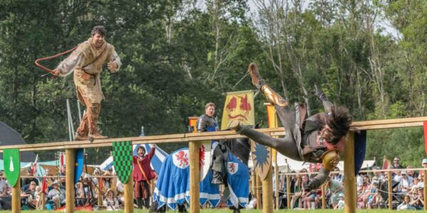 Themed-Character-Stunt-Shows-Corporate-Event