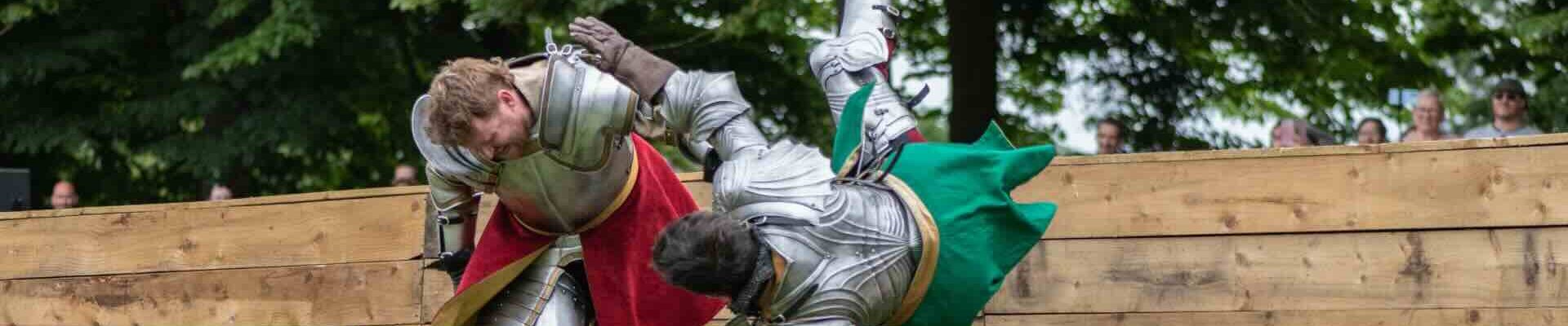 Themed-Character-Stunt-Shows-Medieval-Fight Themed-Character-Stunt-Shows-Medieval-Fight