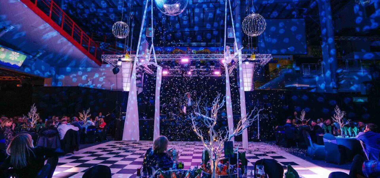 Aerial-Duo-Entertainment-For-Events