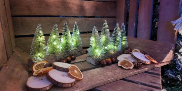 Alpine-Lodge-Event-Props-and-Decorations