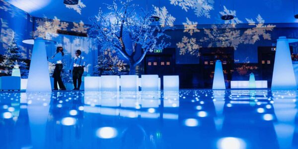 Christmas-Entertainment-Hire-Winter-Wonderland