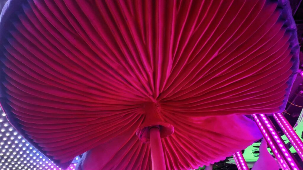 Large pink and purple oversized mushroom prop.