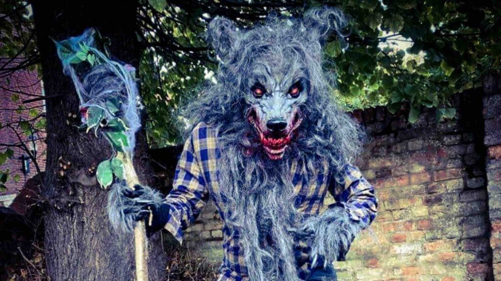 A walkabout werewolf Halloween performer.
