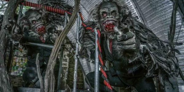 Scary-Monkey-Halloween-Act-Party