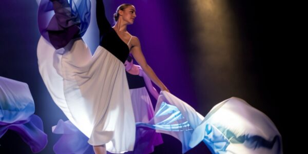 Silk-Flag-Performers-Corporate-Events