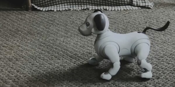 Robot-Dog-Hire-For-Events