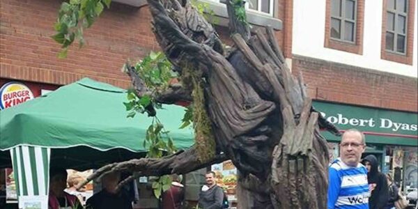 Stilt-Walking-Tree