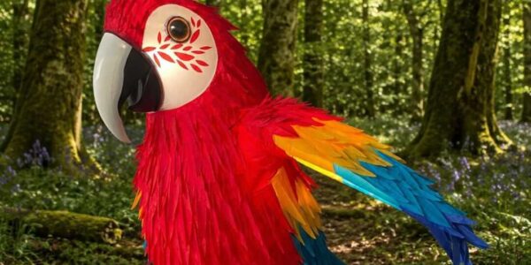 Tropical-Walkabout-Entertainment-For-Hire